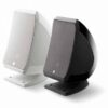 Focal Sib