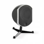 Focal Bird